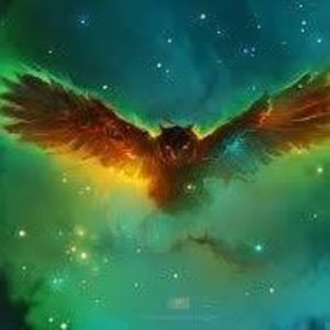 Meet your Posher, Ashly